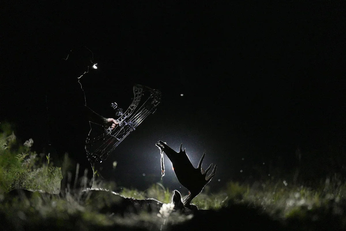 Bow hunter with headlamp standing at night near moose antlers in grassy outdoors