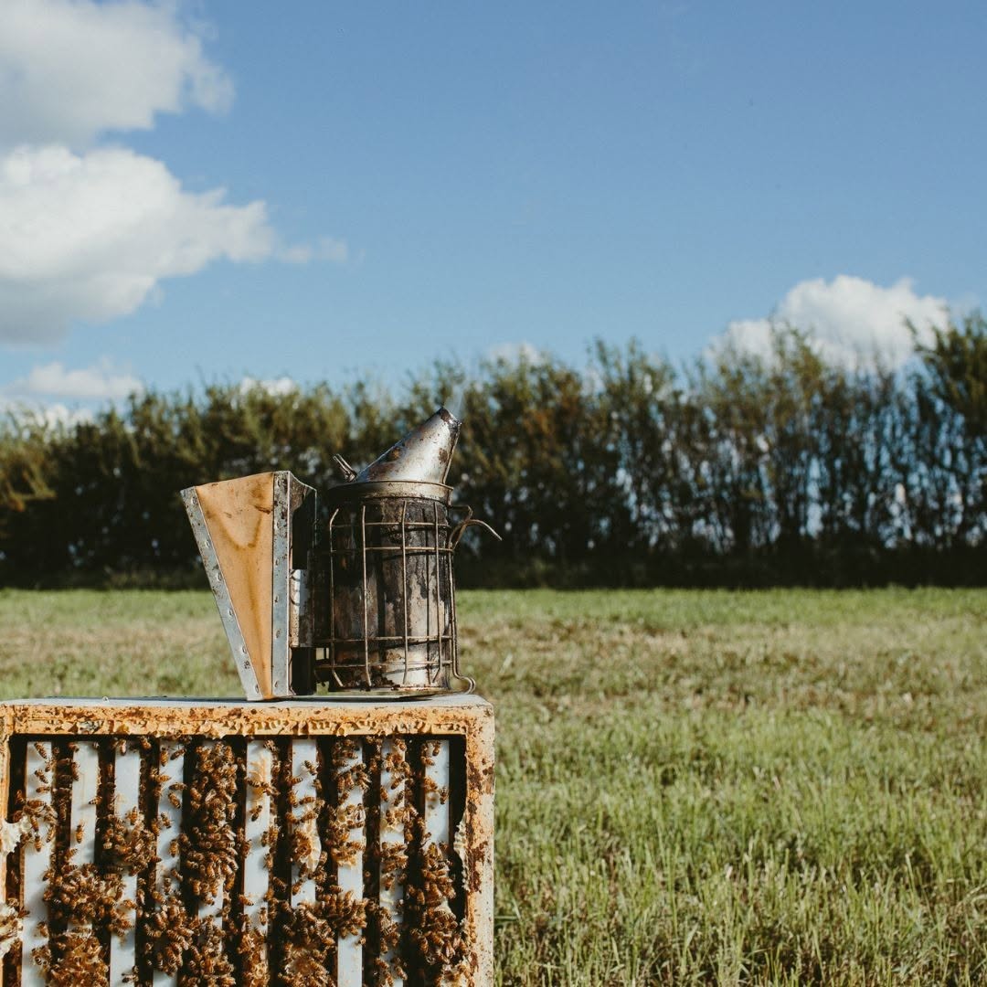 Three Foragers Bee Co. premium Canadian raw honey and bee products made from responsibly harvested honey