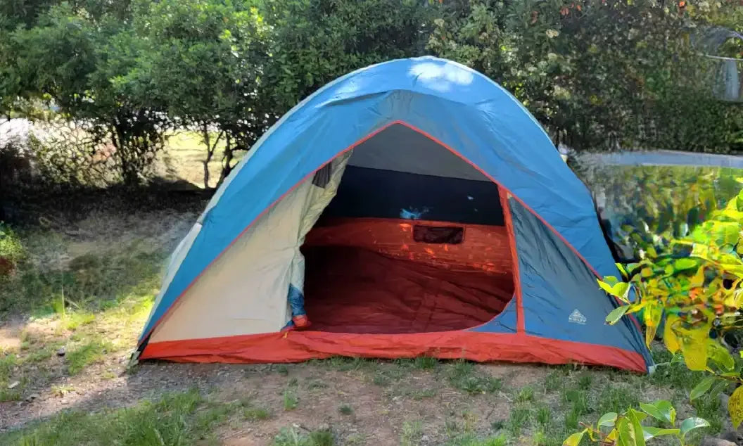 Blue and orange dome camping tent set up on grassy ground near trees outdoors