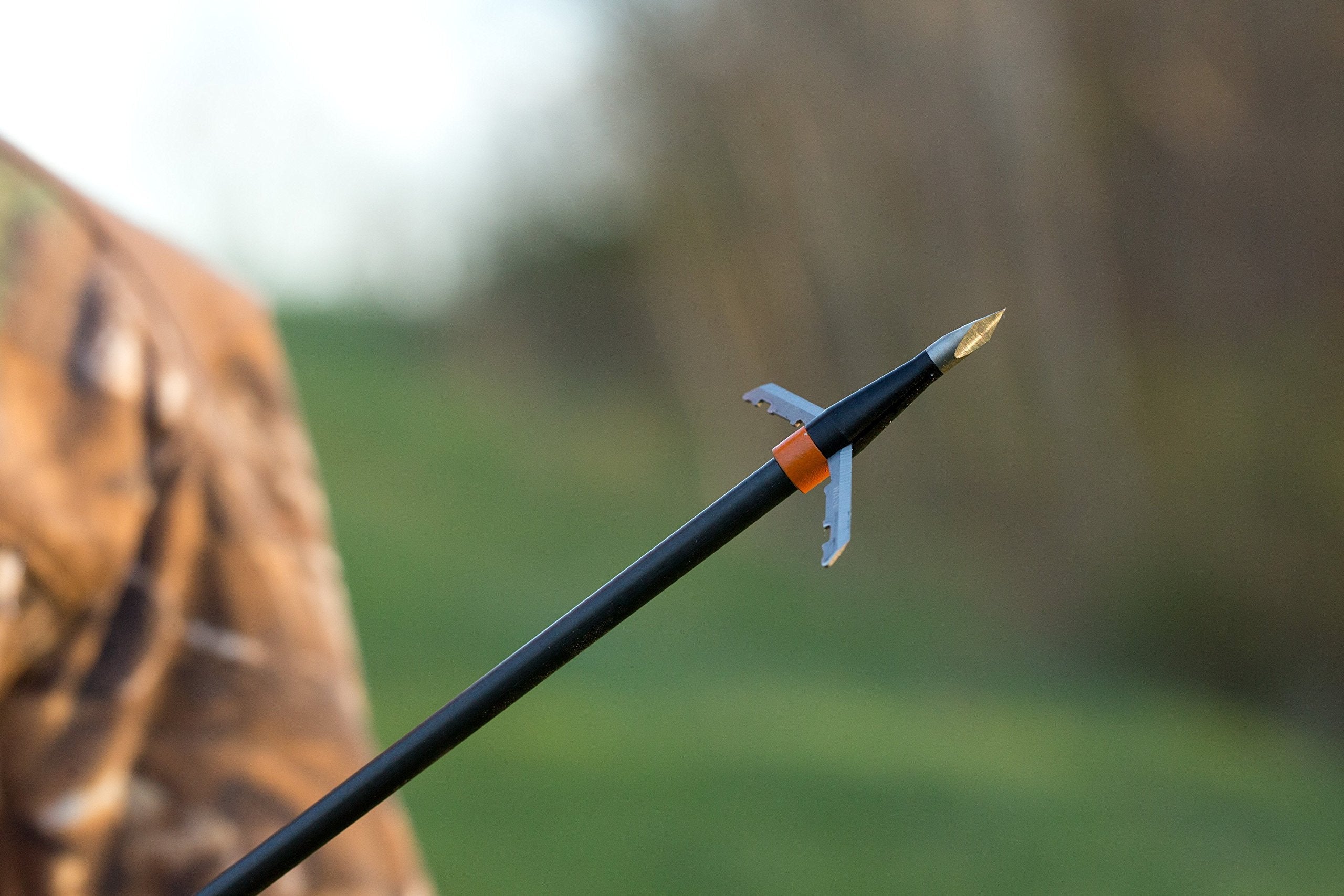 Wasp Archery broadheads logo with wasp head graphic and bold yellow outline on black background