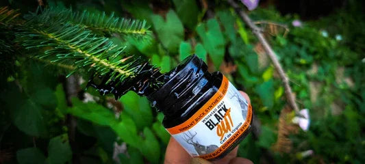 Black Out hunting scent jar with pine branch in outdoors green foliage