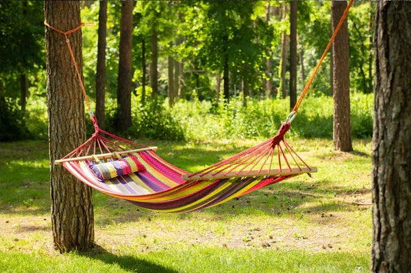 Colorful striped hammock hanging between trees outdoors in a sunny, green forest setting