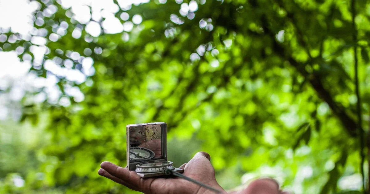 Hand holding compass in lush green forest, outdoor navigation wilderness scene