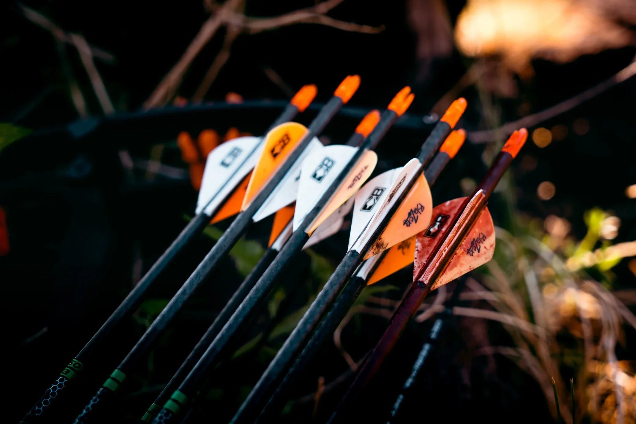 Close-up of Victory VAP TKO arrows with orange and white vanes outdoors