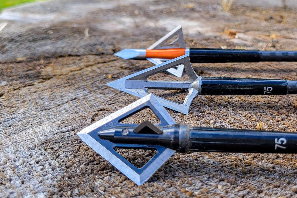 Fixed broadheads for archery hunting displayed on a hunting backdrop