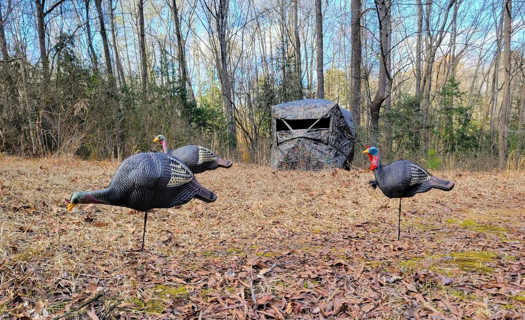 Blinds & Decoys