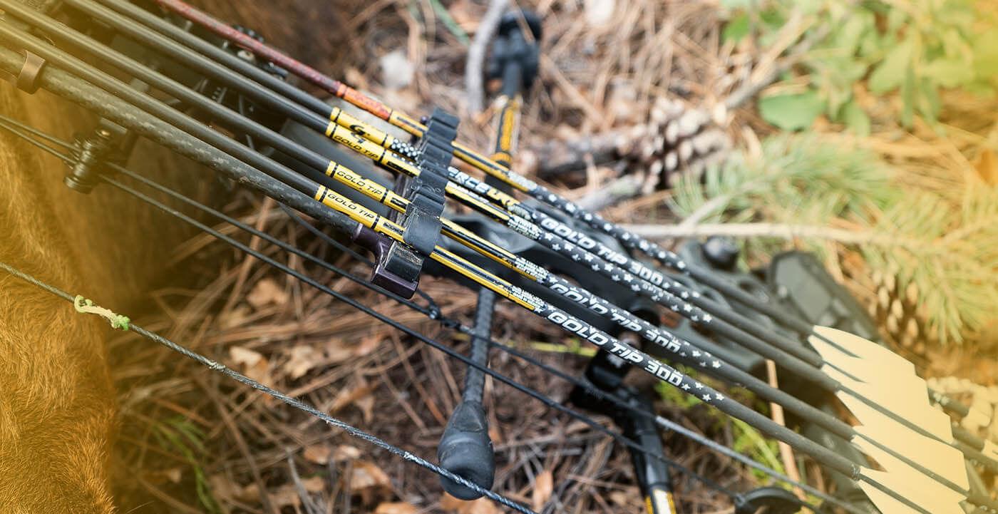 Gold Tip arrows in a black quiver on bow, outdoors with pine needles and leaves