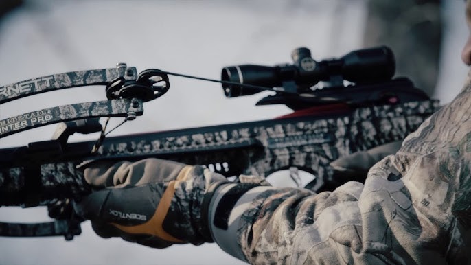 Crossbow and air bows selection for hunting and target shooting