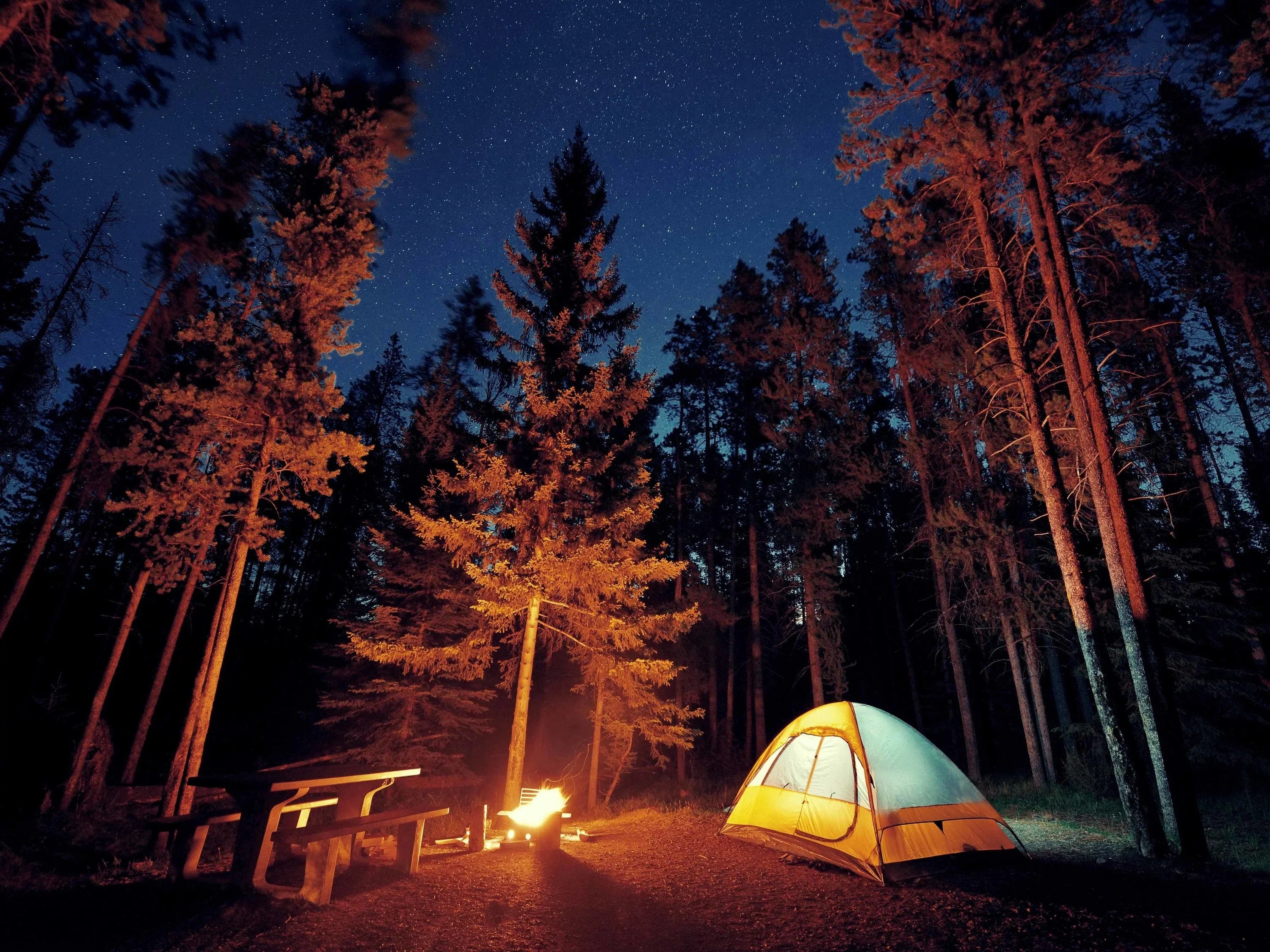 Night camping in a forest with a lit tent, campfire, picnic table, and starry sky