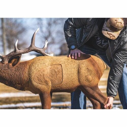 Person setting up Rinehart archery target elk outdoors, clear sky, winter grass