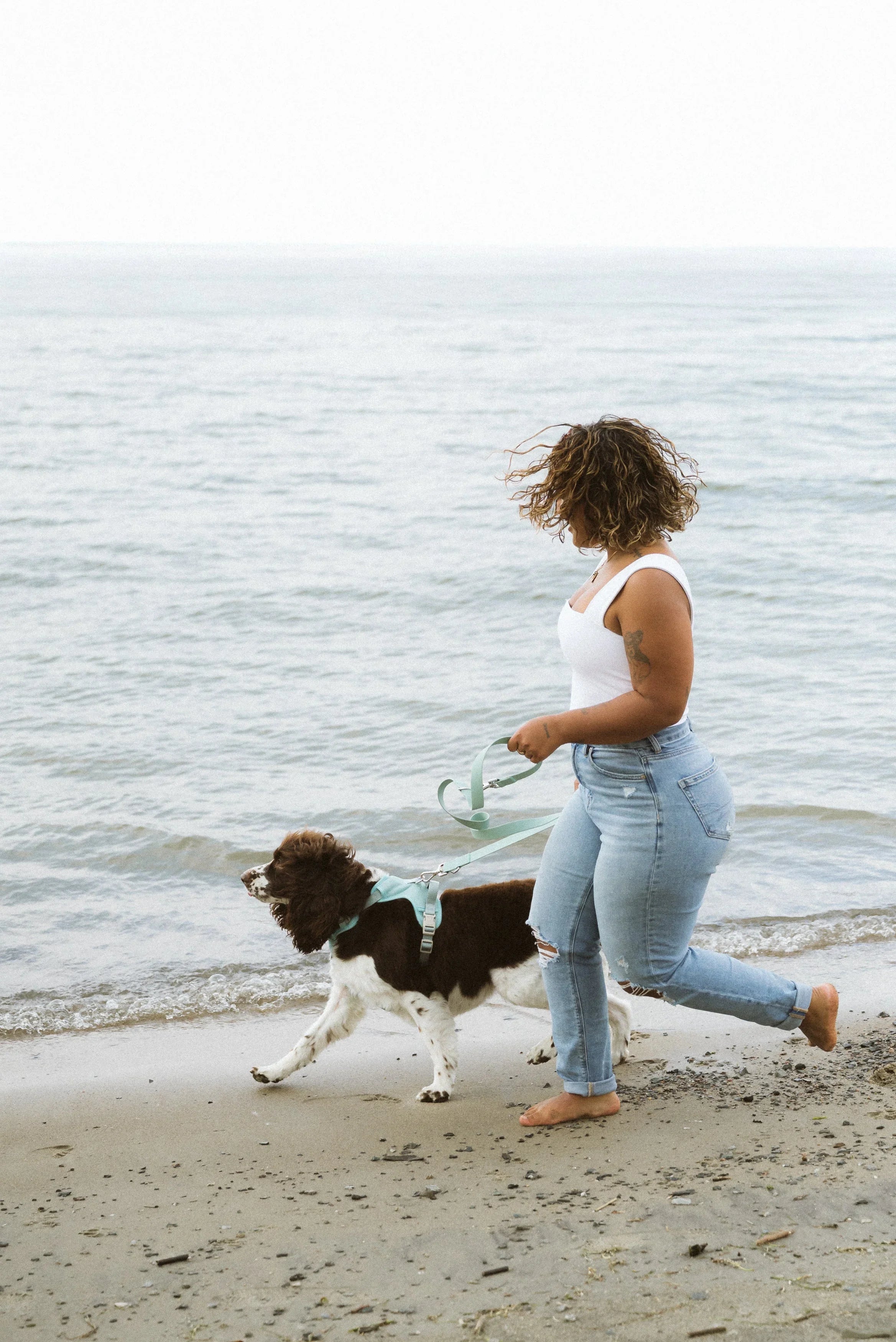 Peachy Dogs Classic 2.0 Harness Breeze