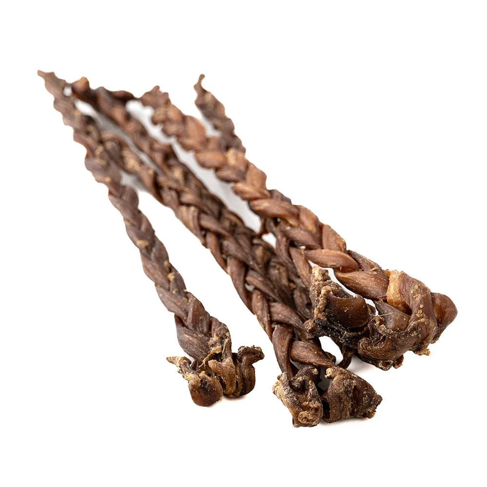 Braided lamb gullet dog chews on white background