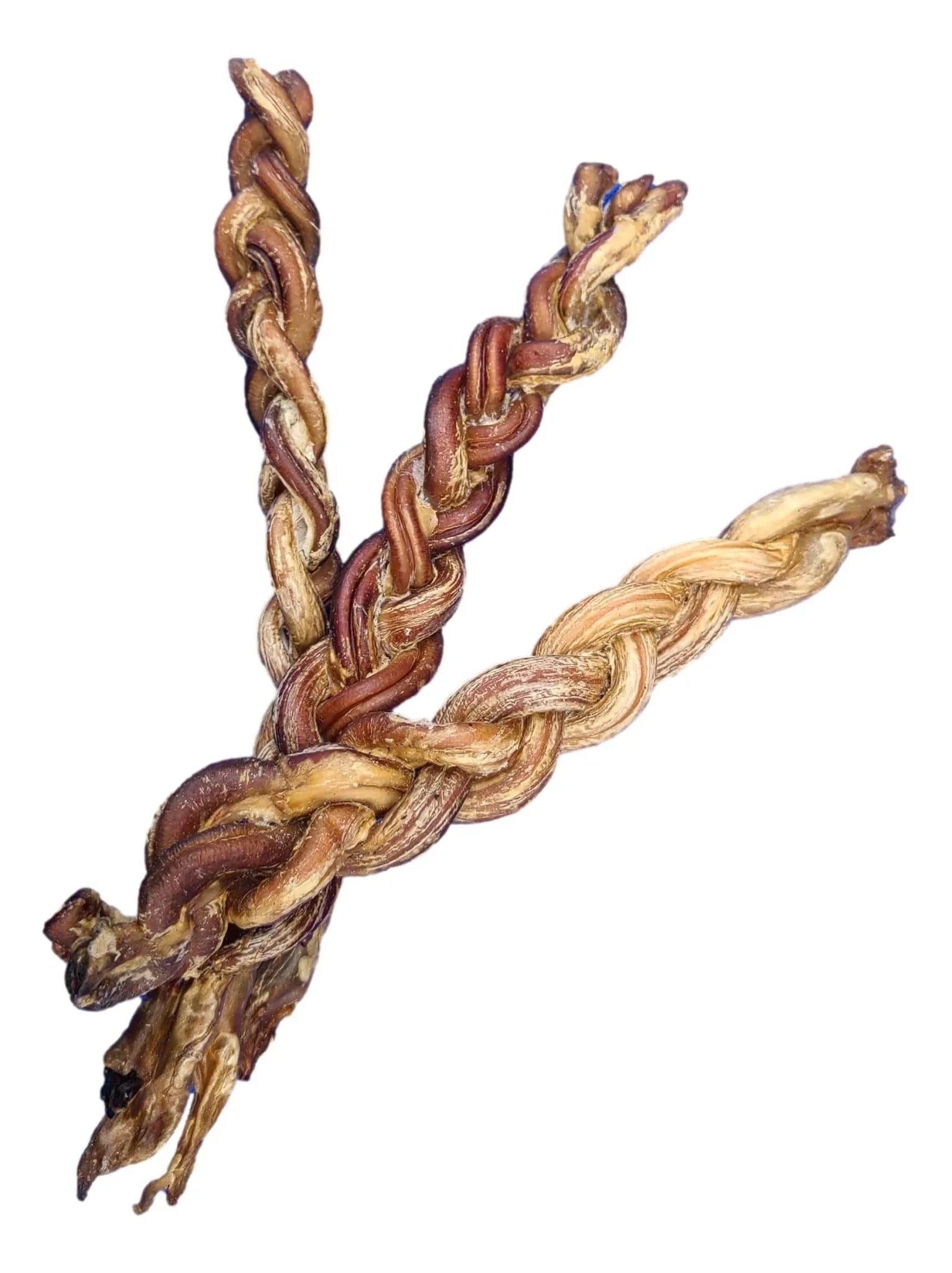 Braided lamb pizzle sticks dog chews, natural dried pet treat on white background