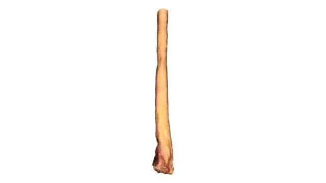 12 inch monster bully stick dog chew treat on white background