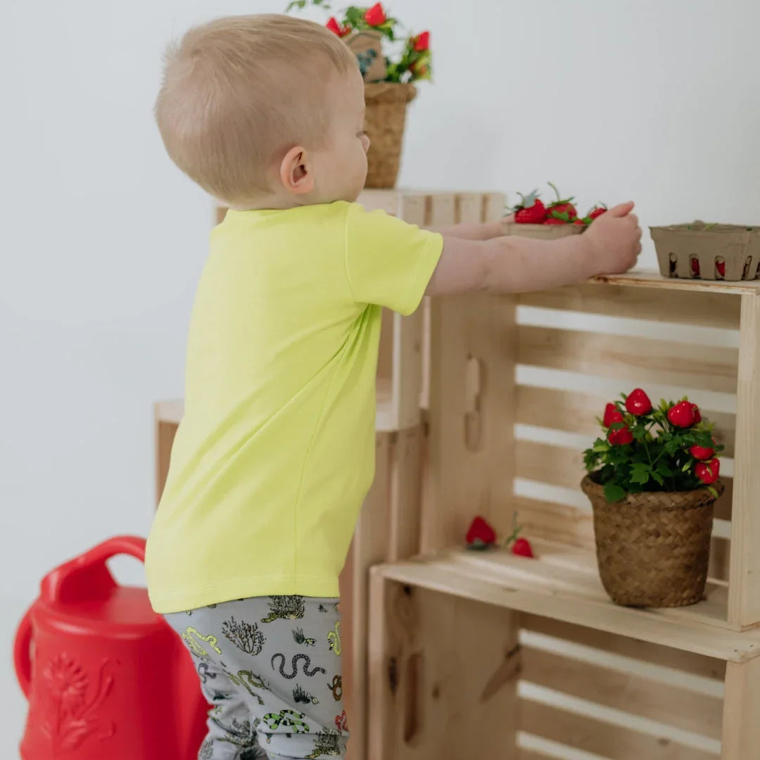 Toddler in yellow shirt reaching for strawberries by wooden crates and potted plants
