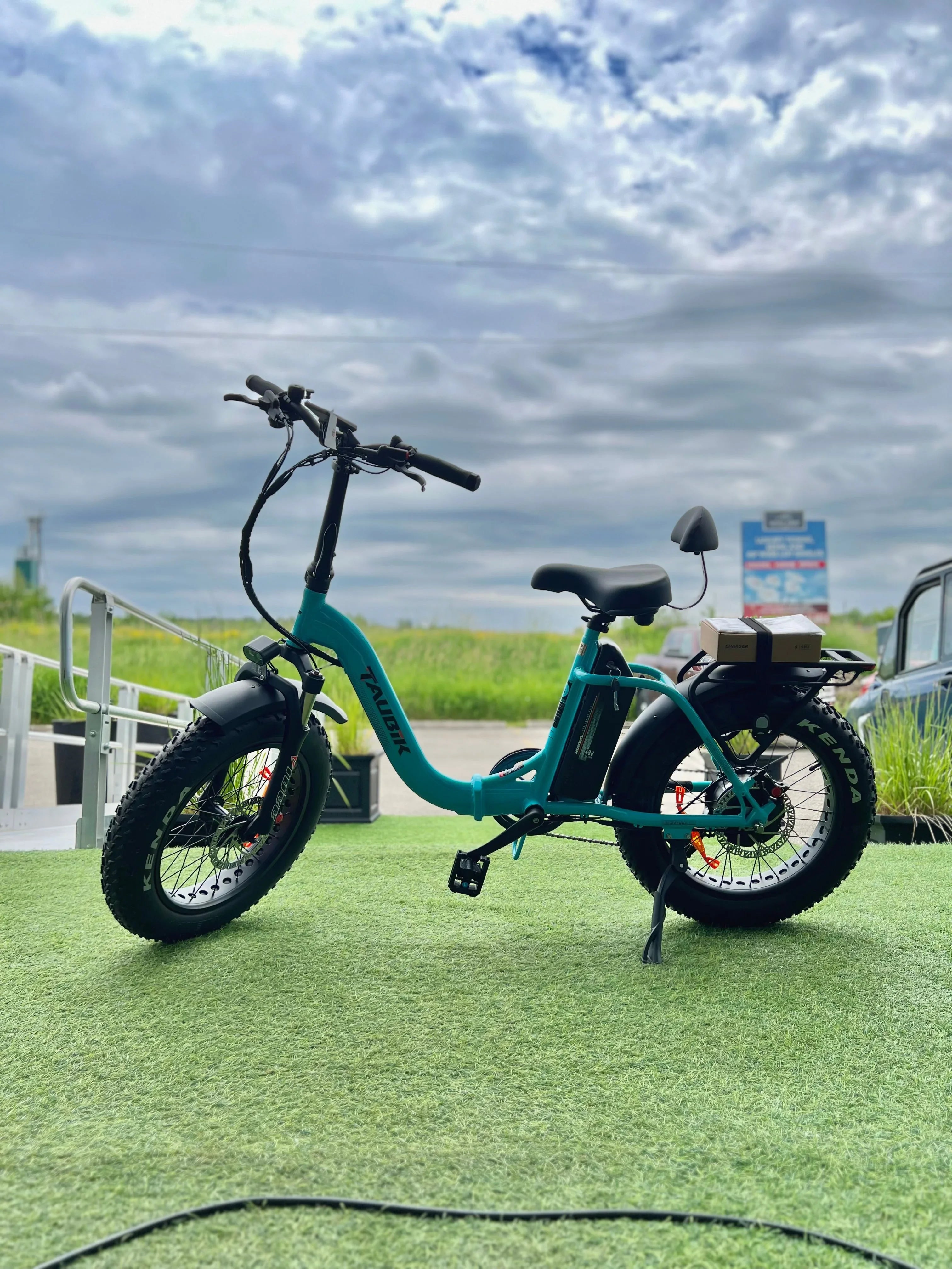 Teal electric fat tire bike by TAVICK on green grass with cloudy sky background