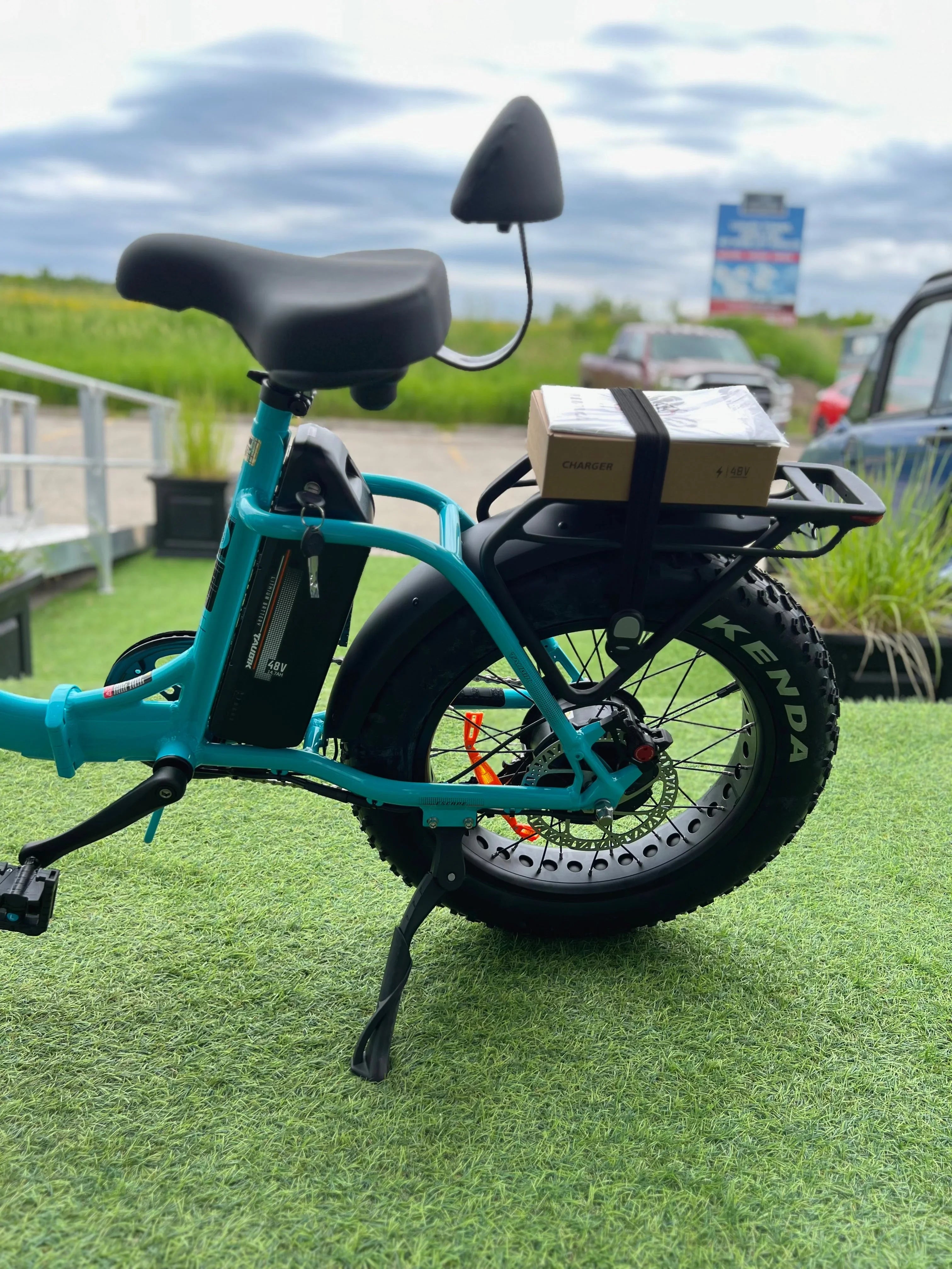 Blue electric bike with rear rack, fat tires, and charger box on green artificial grass outdoors.