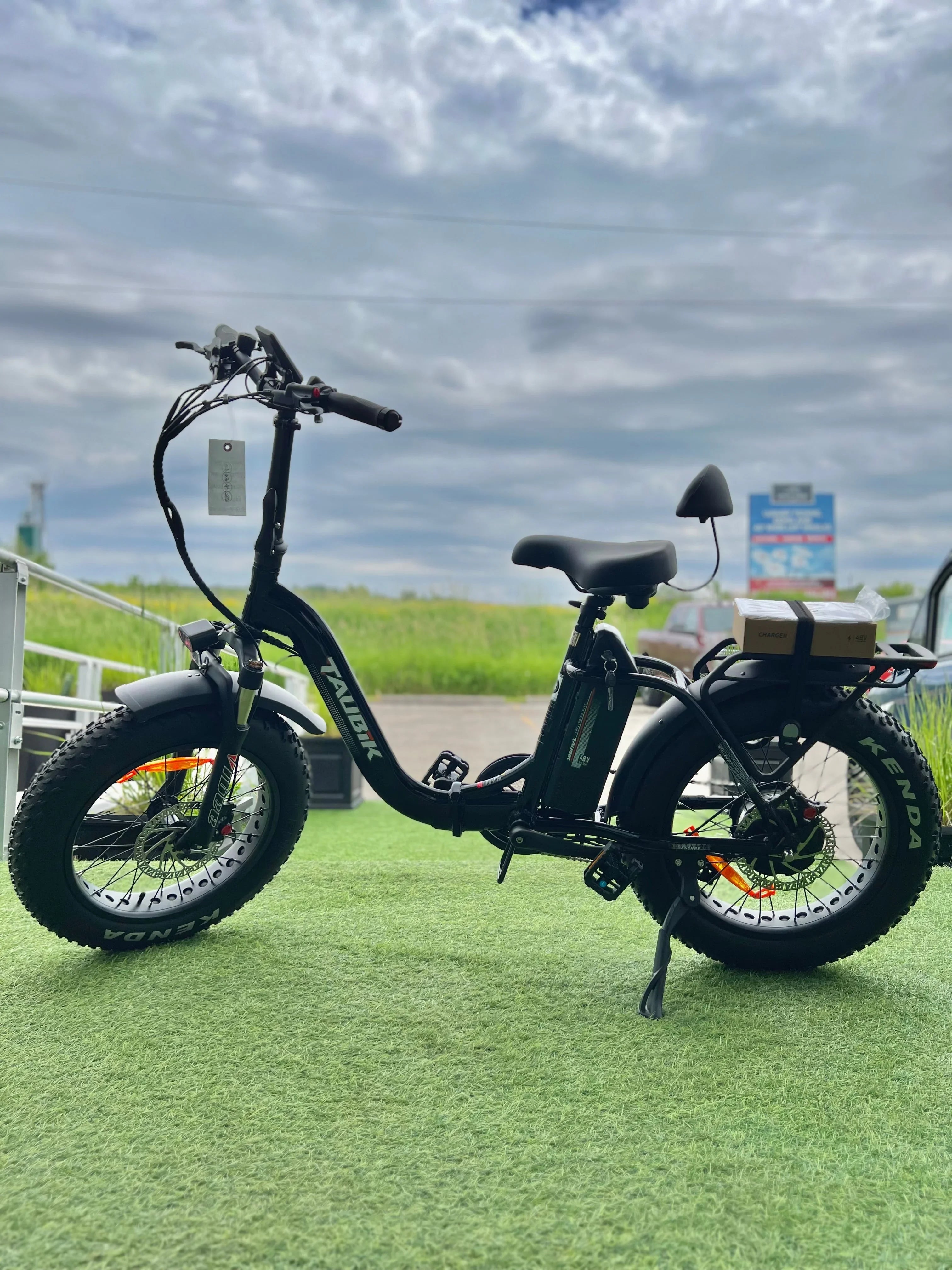 TAVOIK fat tire electric bike on green grass, outdoor, with cloudy sky background