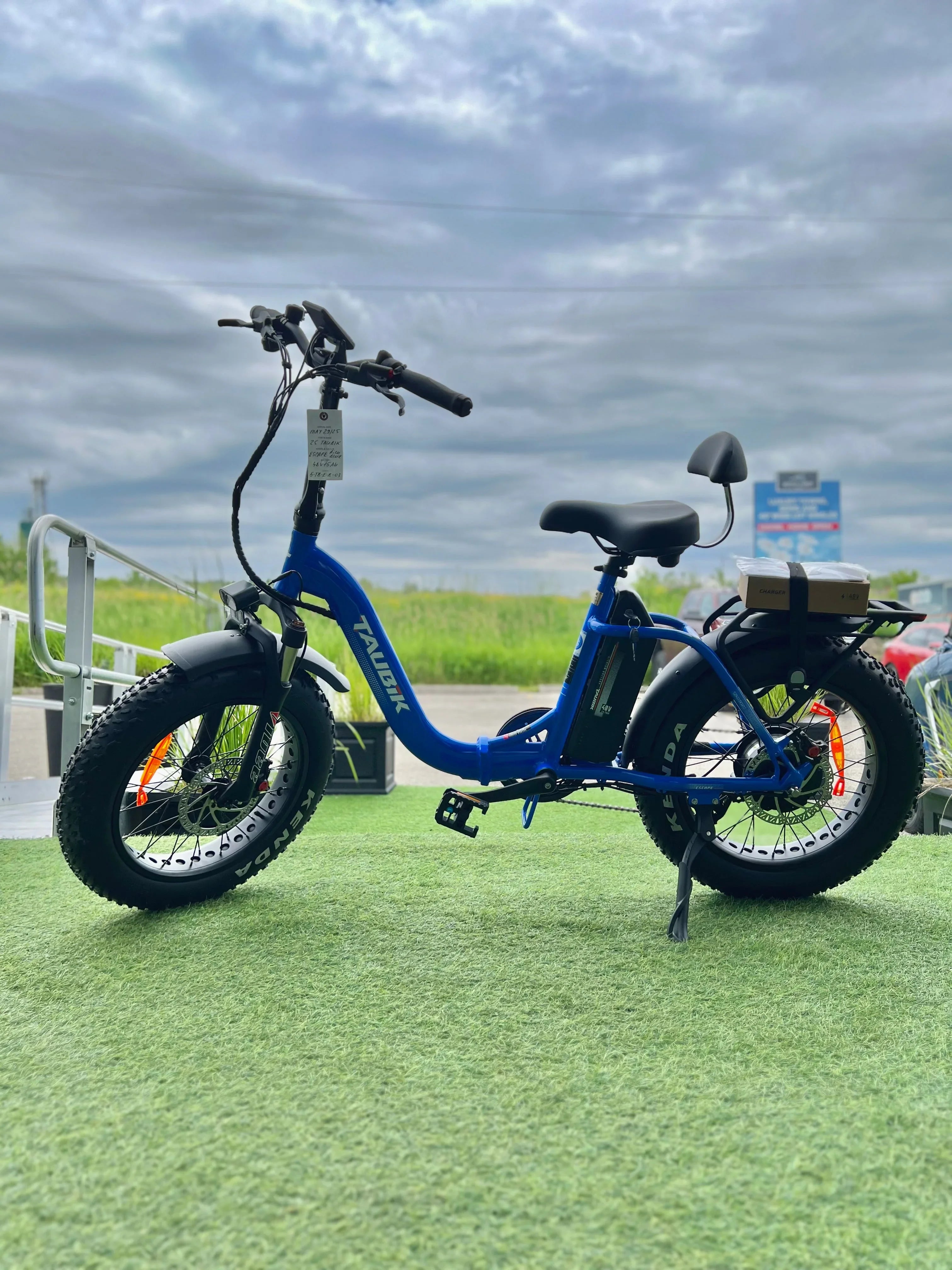 Blue fat tire electric bike with rear rack on green grass against cloudy sky