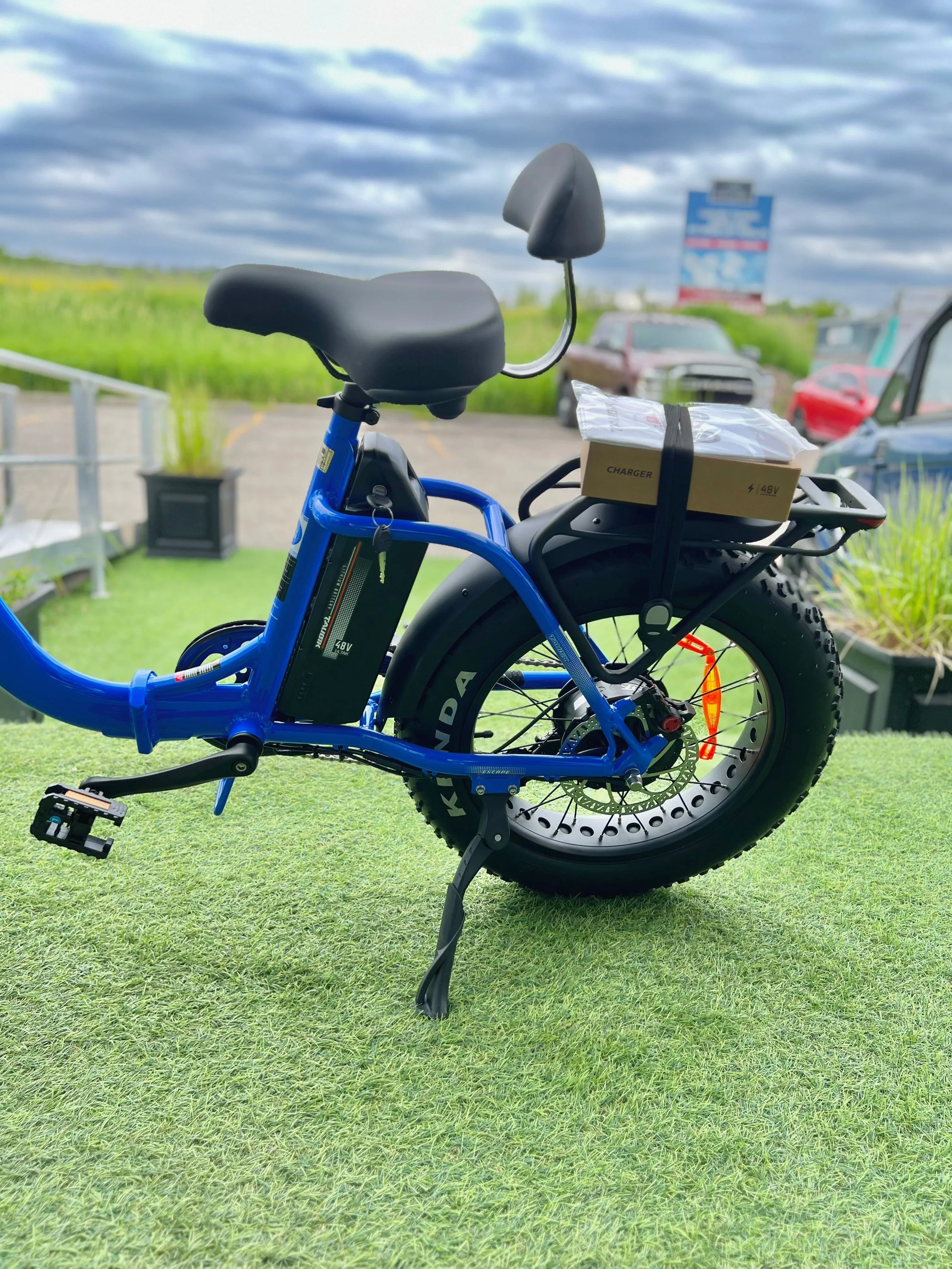 Blue electric bike with fat tires, rear rack, and charger on grass outdoors