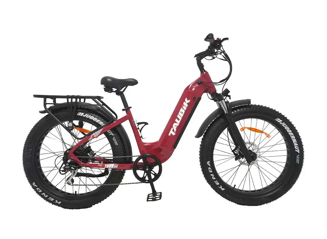 Burgundy Taubik Tour electric fat tire bike side view, rack, step-through frame