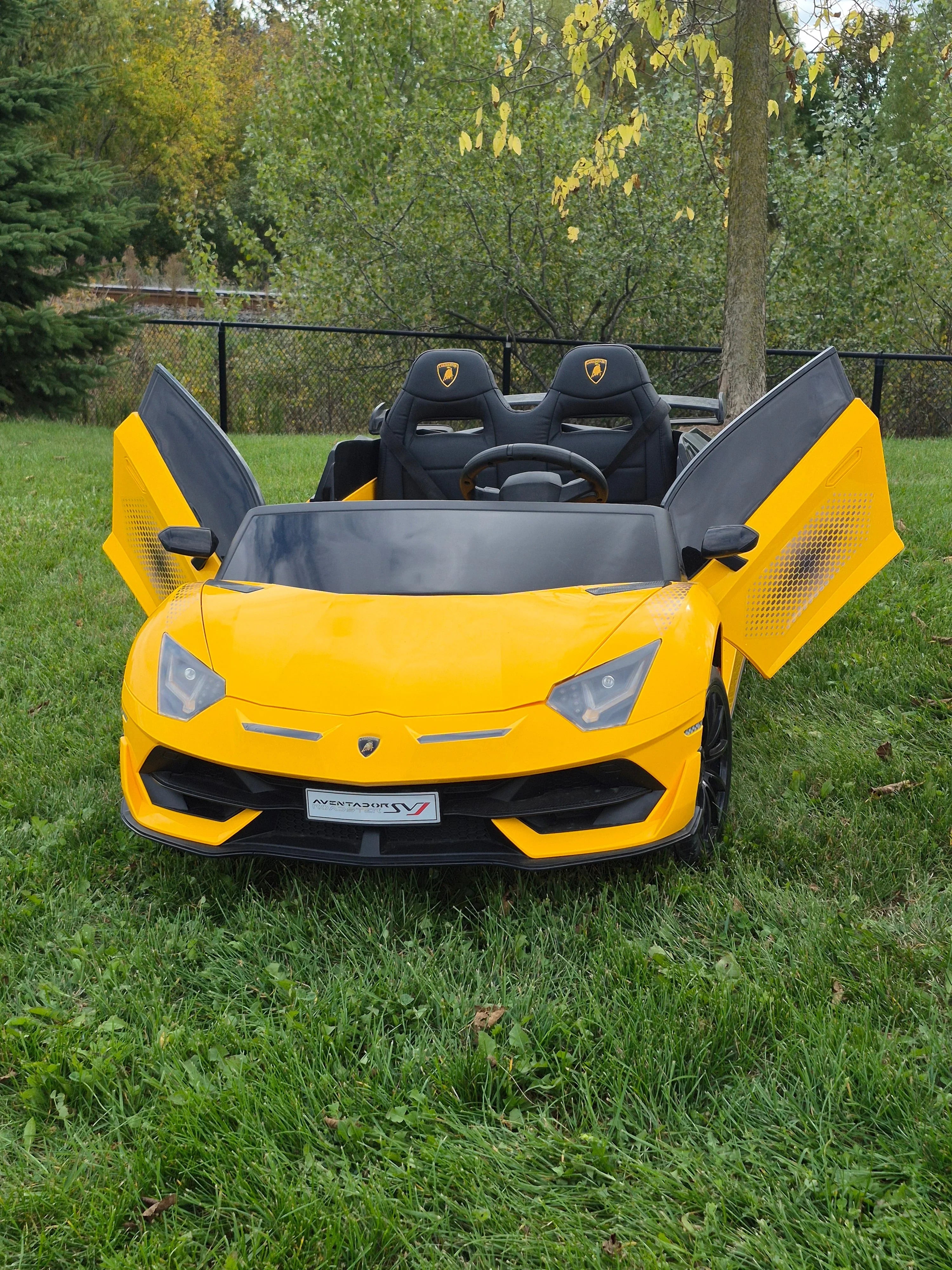 Yellow Lamborghini Aventador ride-on toy car on grass with open doors and visible logo.