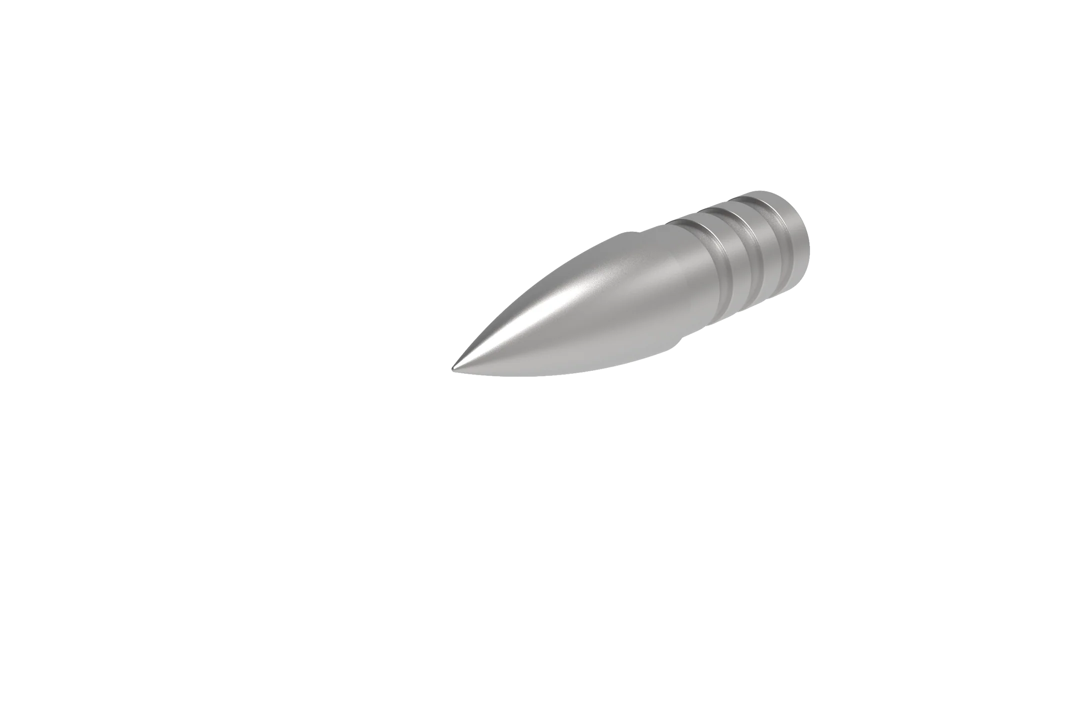 Close-up of a silver pointed bullet tip for hunting and outdoor shooting