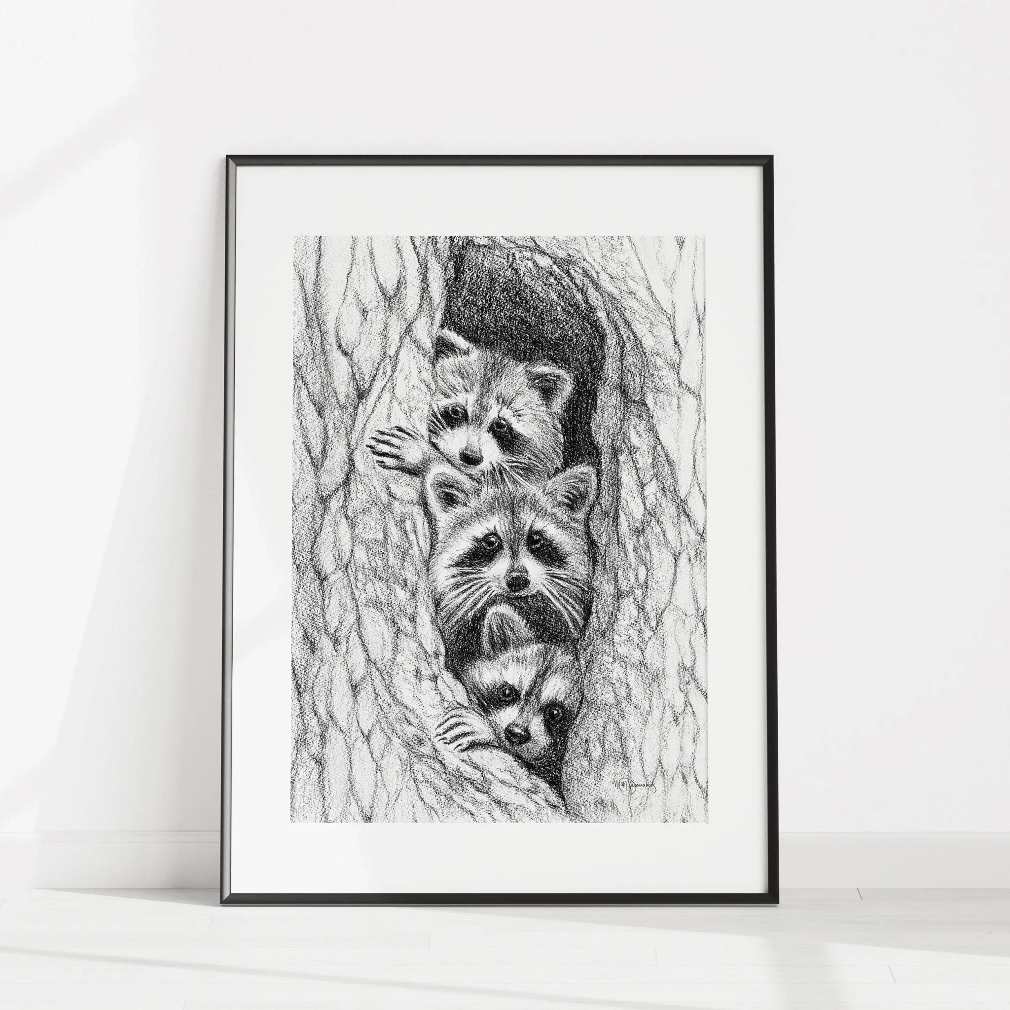 Framed black and white drawing of three raccoons in a tree hollow on white wall
