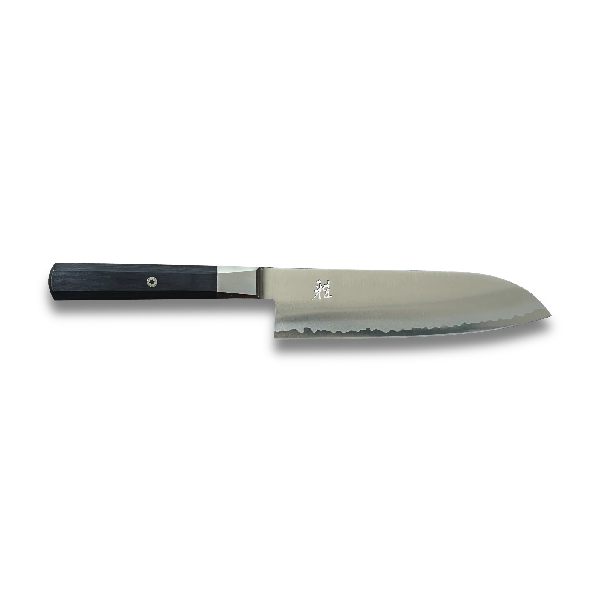 Japanese-style stainless steel chef knife with black handle on black background