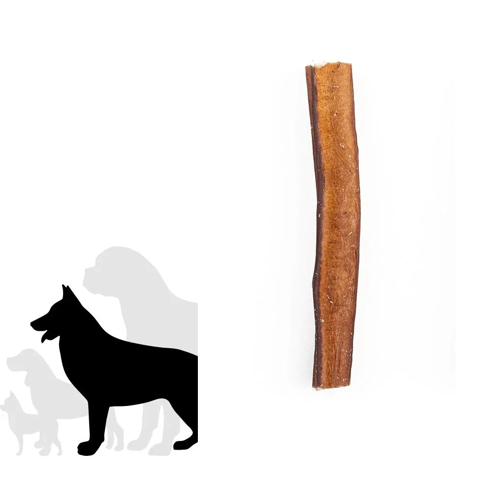 Jumbo bully stick dog chew next to dog size silhouettes on white background