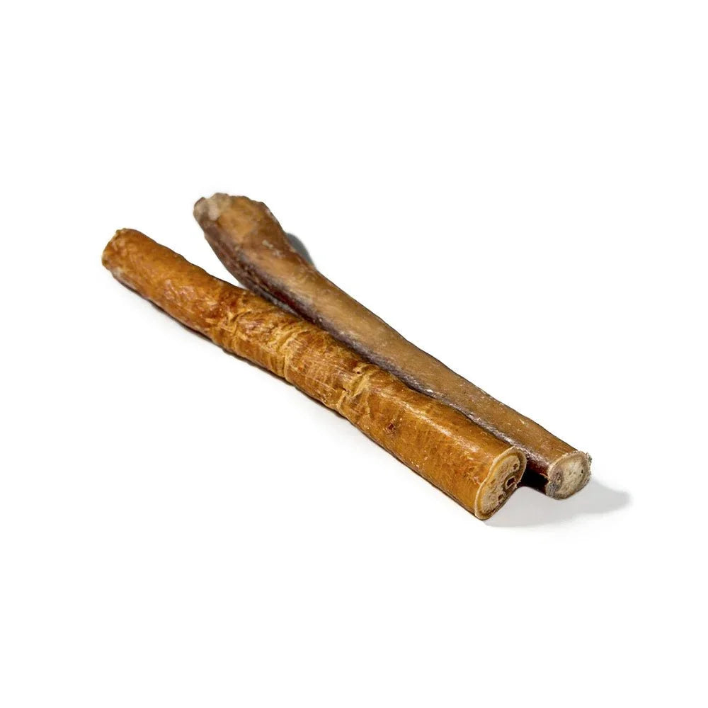 Two jumbo bully sticks for dogs on a white background