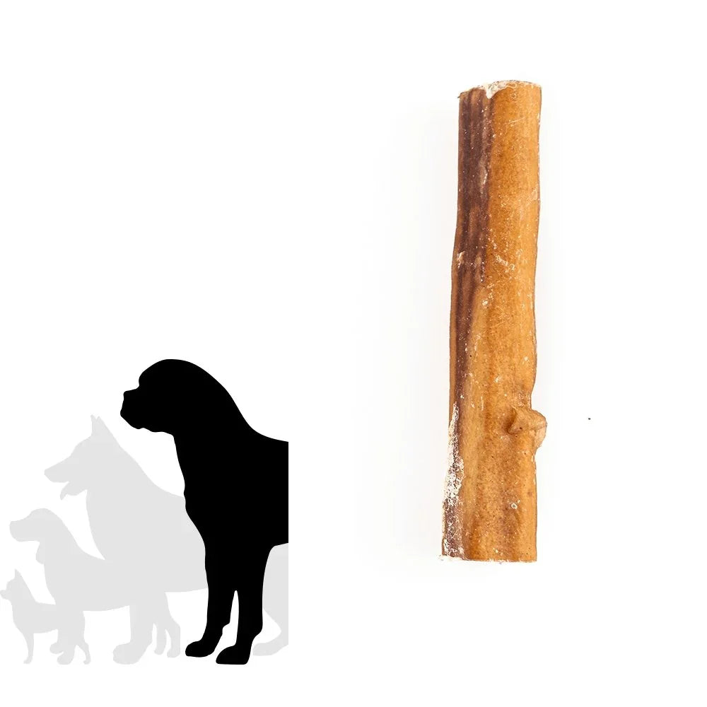 Large bully stick dog treat beside dog silhouettes on white background