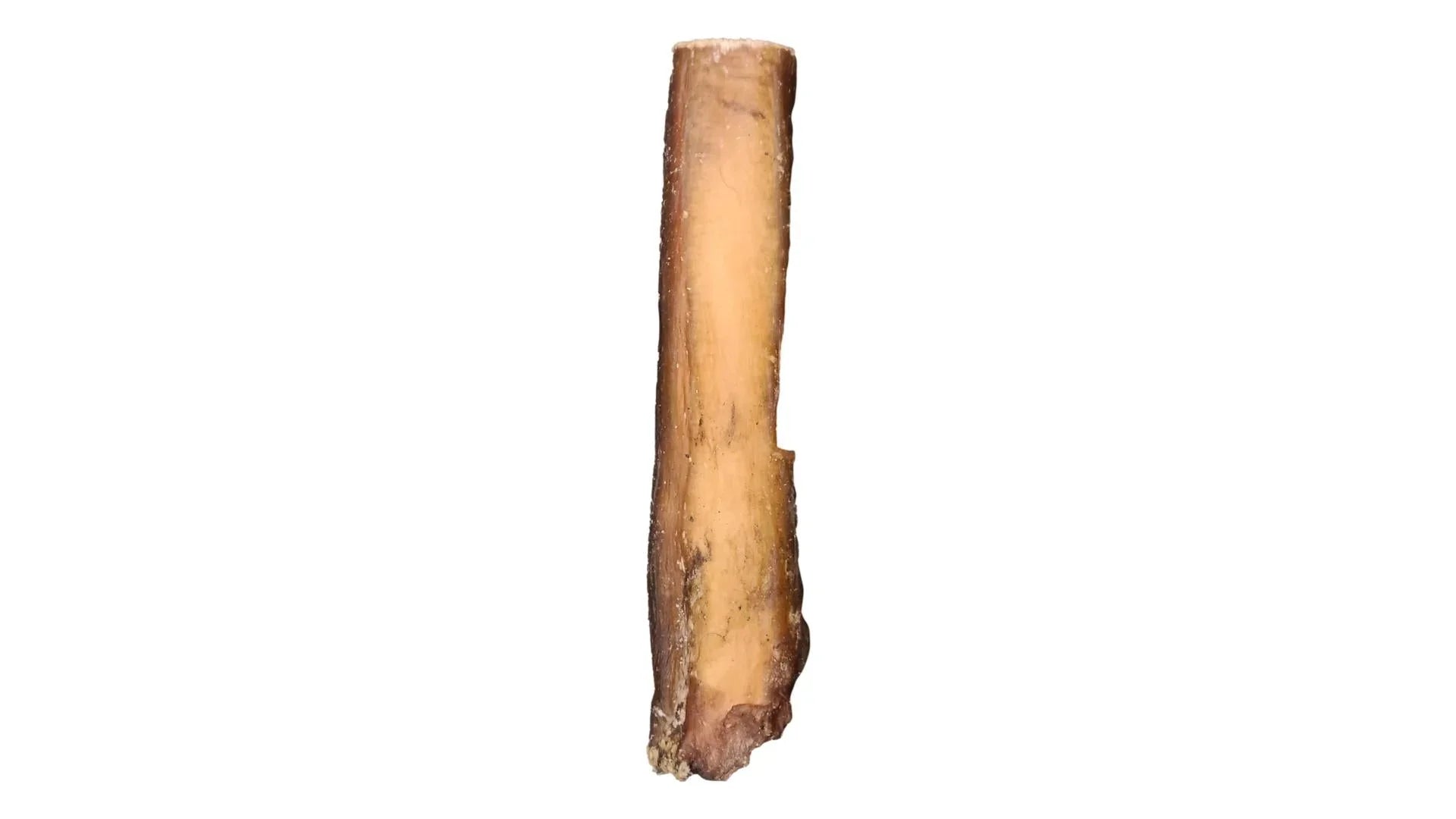 Single jumbo bully stick dog chew on white background, natural dog treat