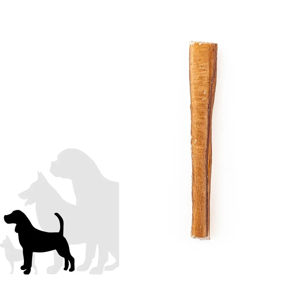 Standard bully stick dog chew treat on white background with dog silhouettes