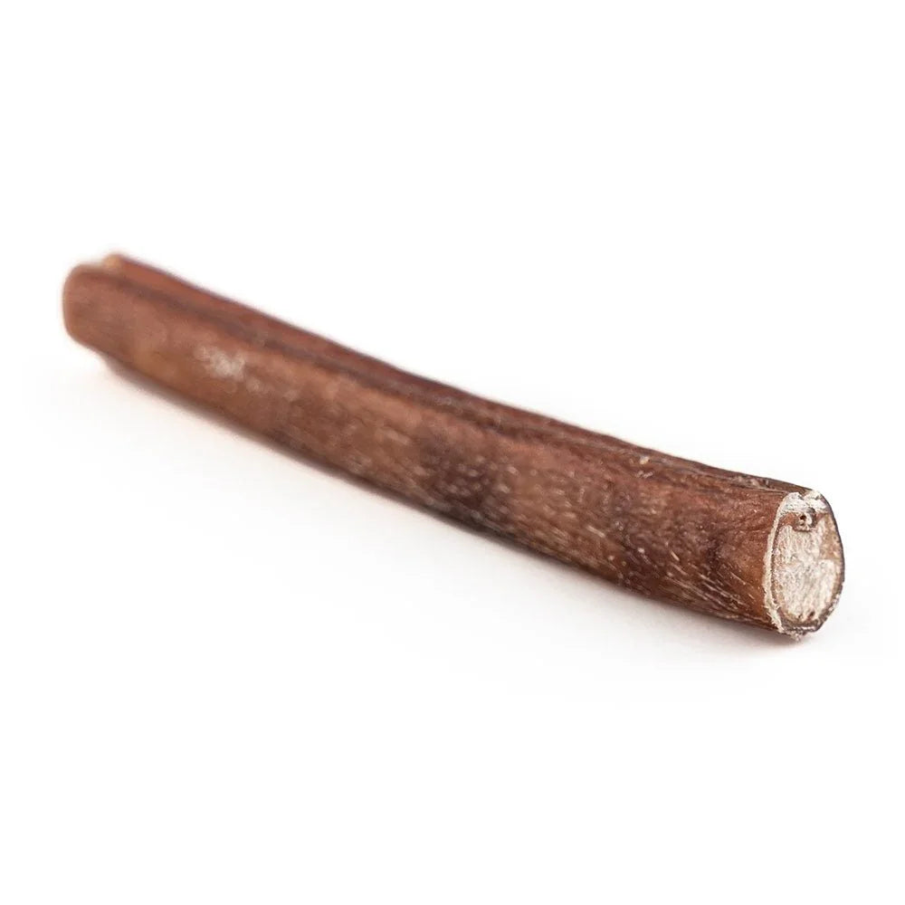 Standard bully stick dog chew treat on white background