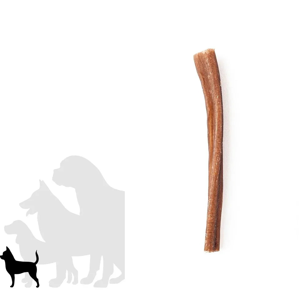 Single thin bully stick dog chew treat on white background, silhouette of small dog breeds
