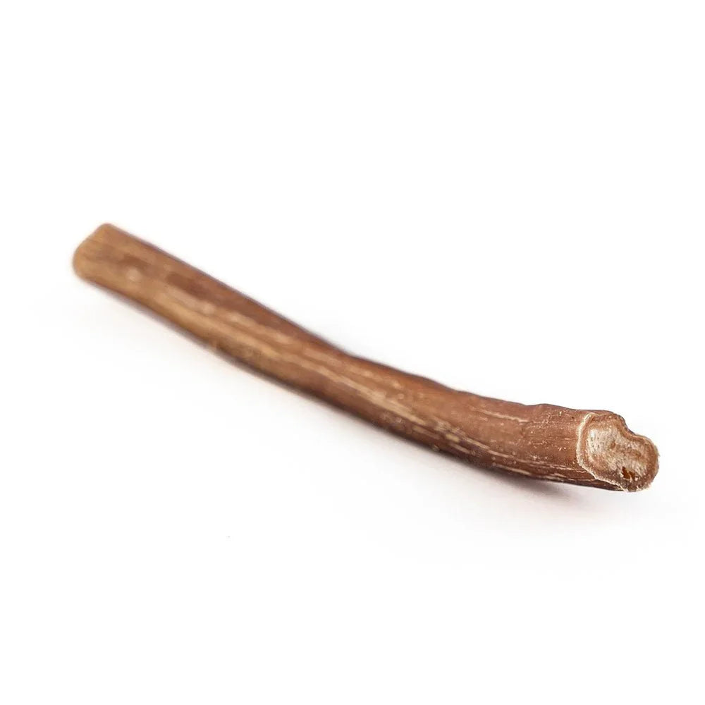 Single thin bully stick dog chew treat on white background