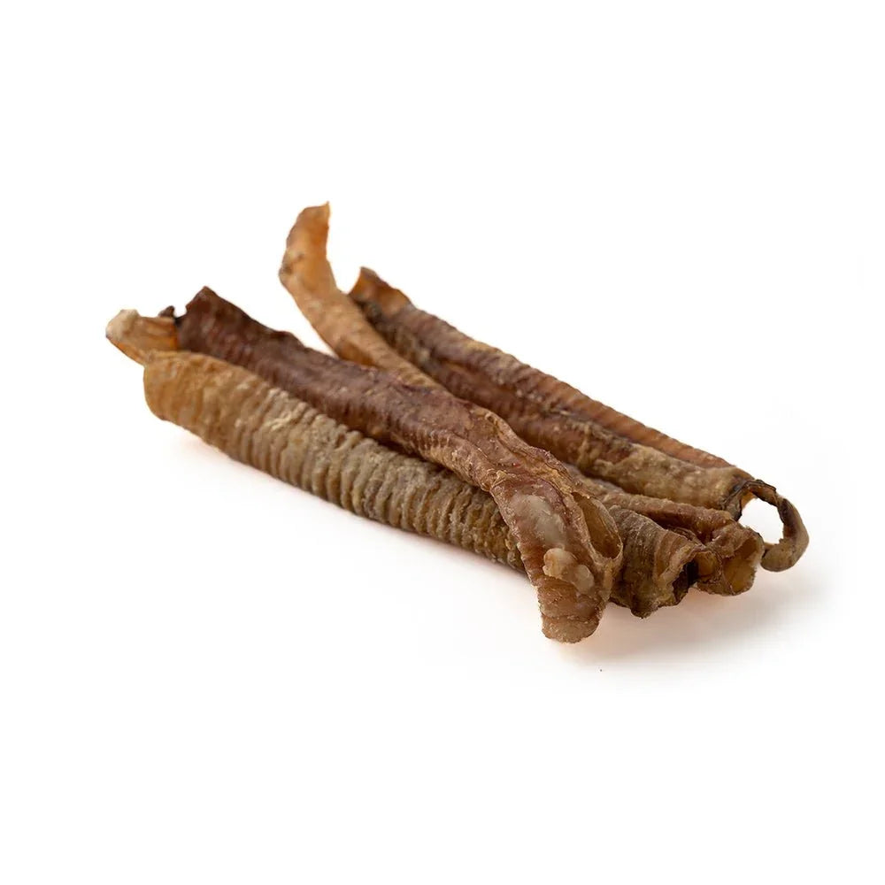 Dried lamb trachea dog treats on white background