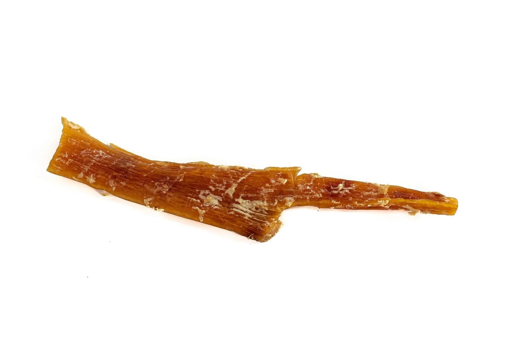 Large dried beef tendon dog chew treat on white background