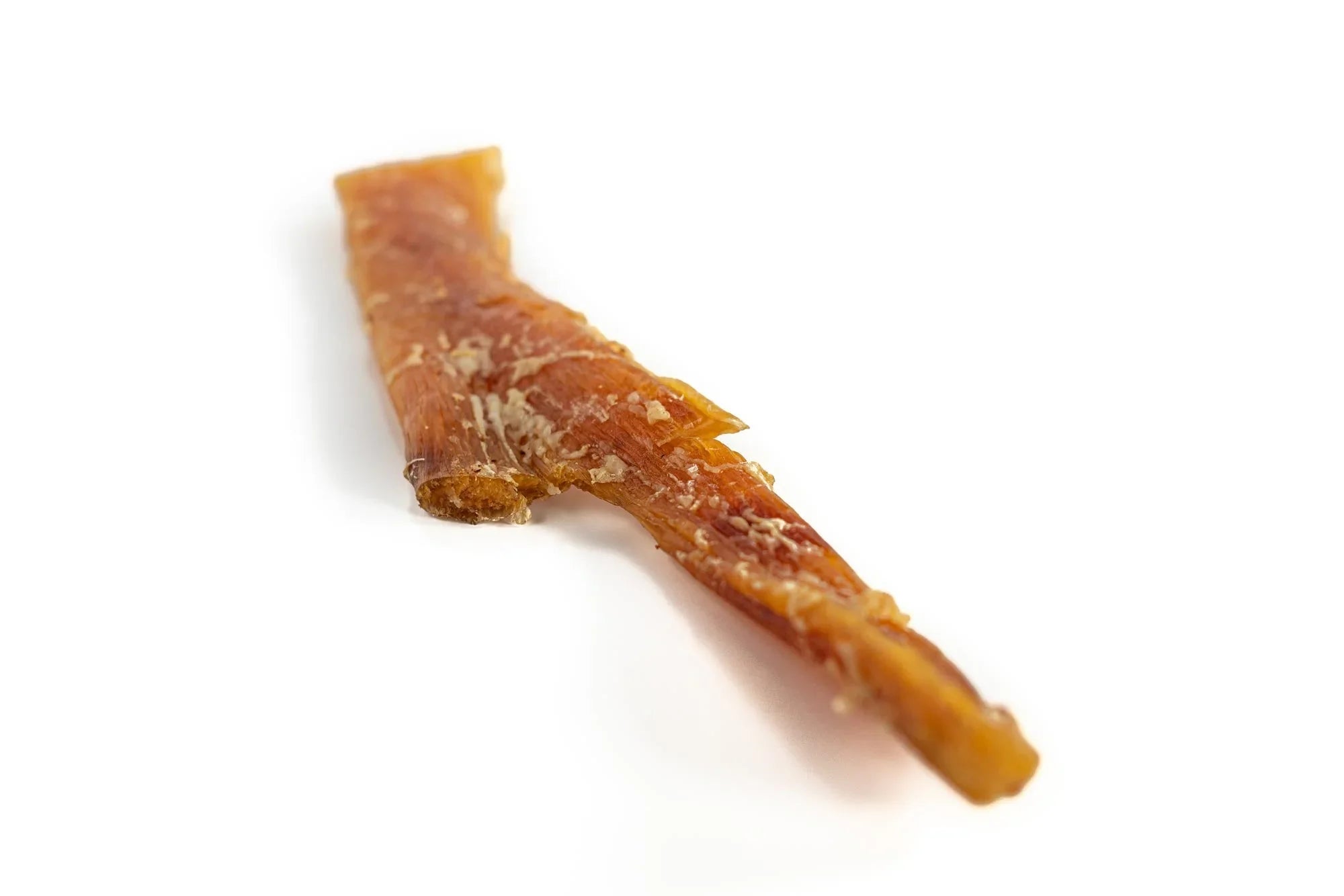 Large dried beef tendon dog chew on white background