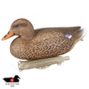 Flambeau Storm Front 2 Classic Floater Mallard - 12-Pack