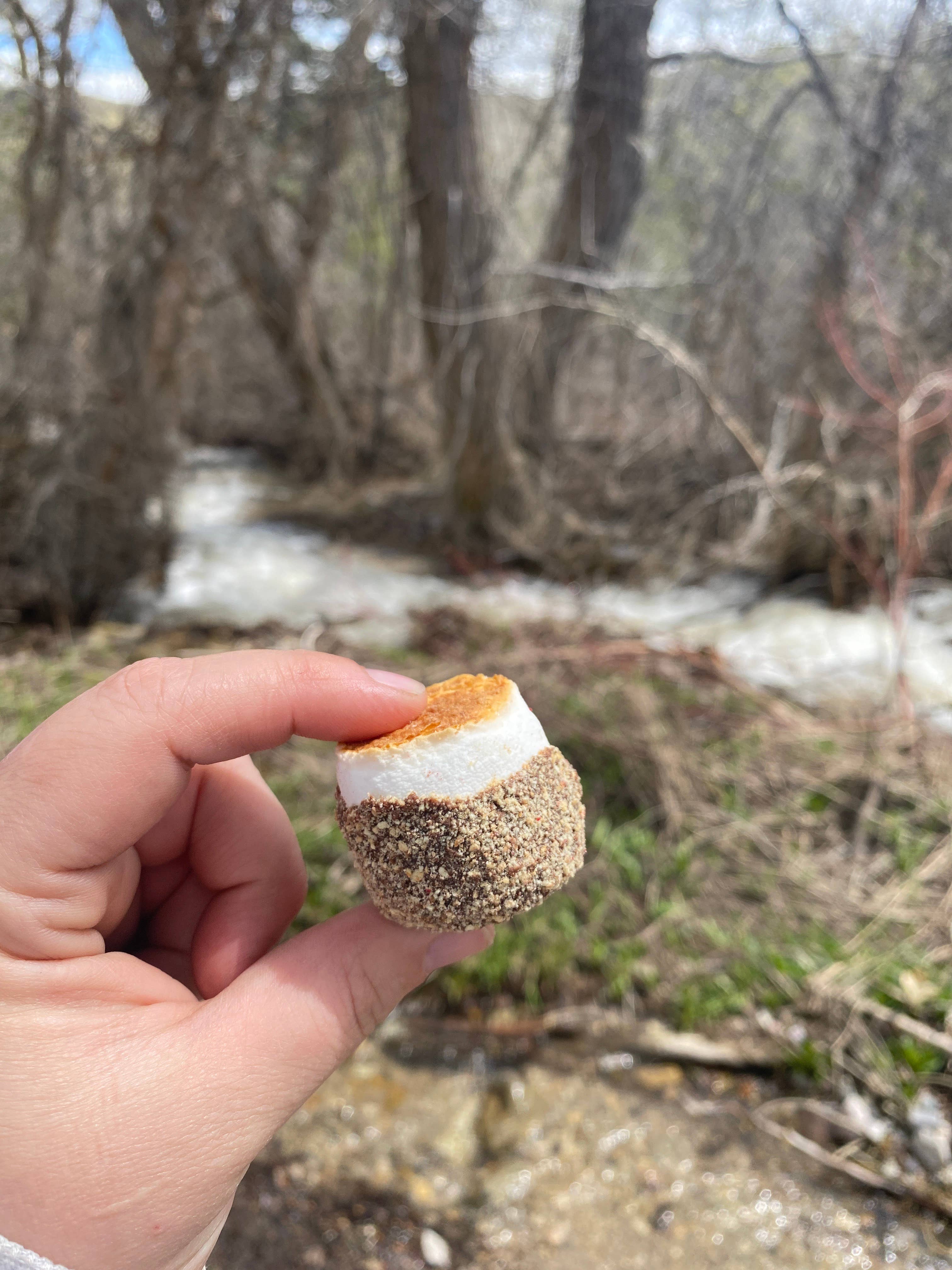 Base Camp Treats Freeze Dried Fire Roasted S'mores - Image 4