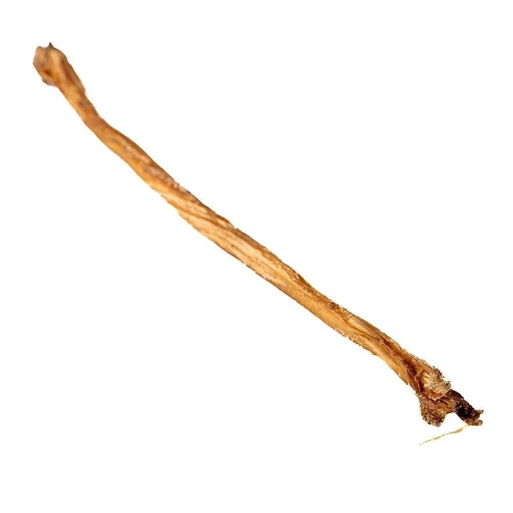 Single dried lamb pizzle stick dog chew on white background