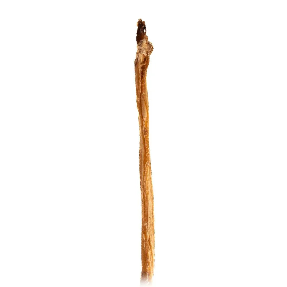 Single dried lamb pizzle stick dog chew treat on white background