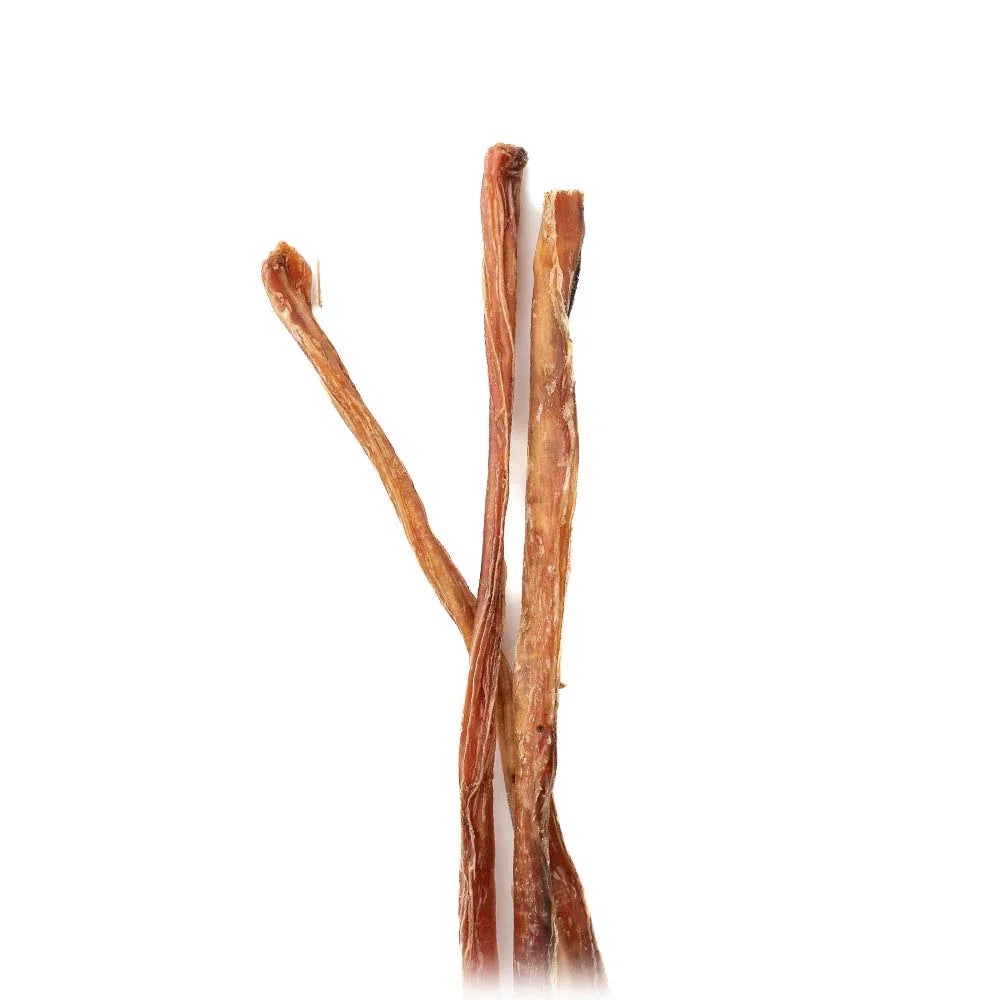 Three veal pizzle sticks dog chews on white background, natural pet treat