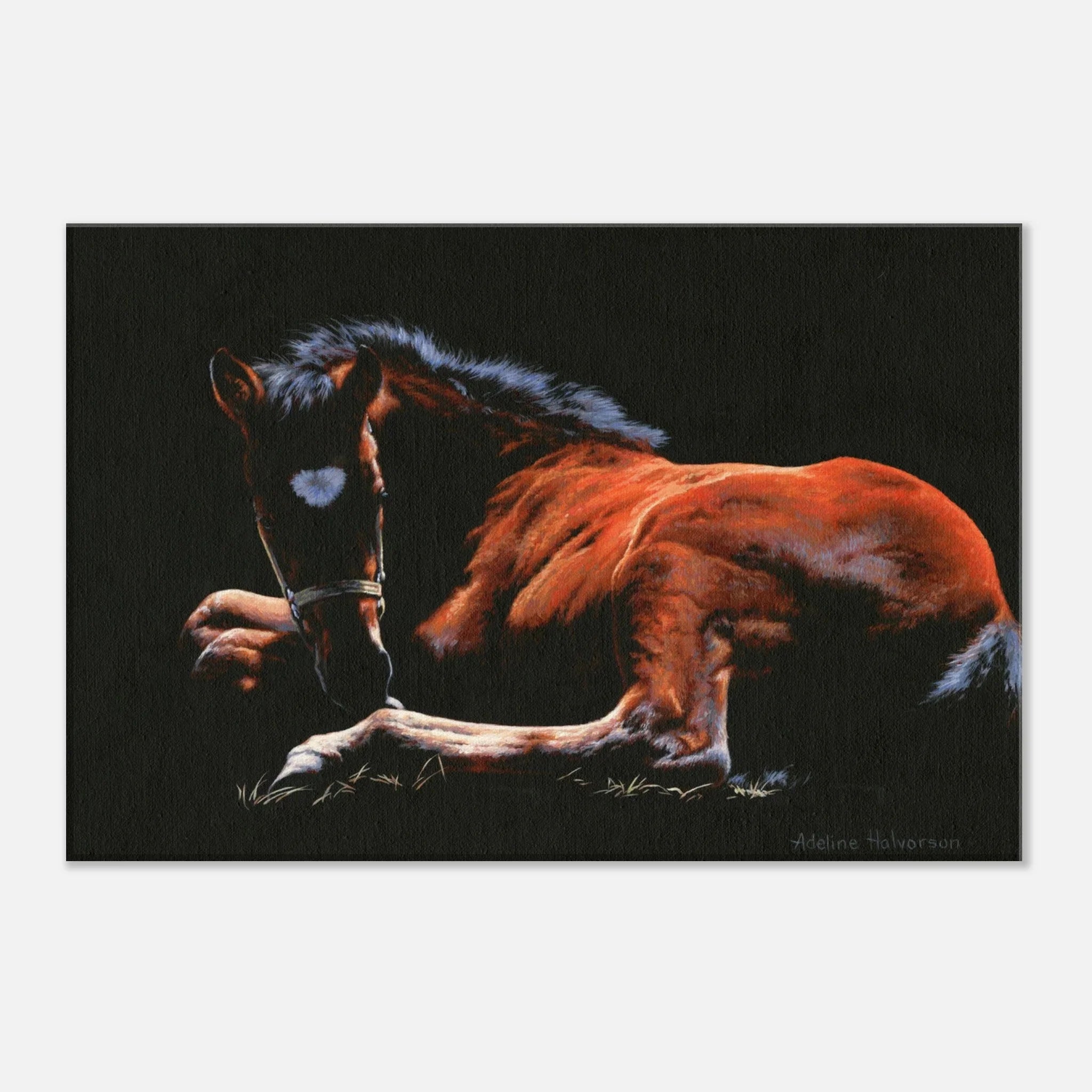 Adeline Halvorson Artworks TOUCHED BY THE LIGHT Canvas