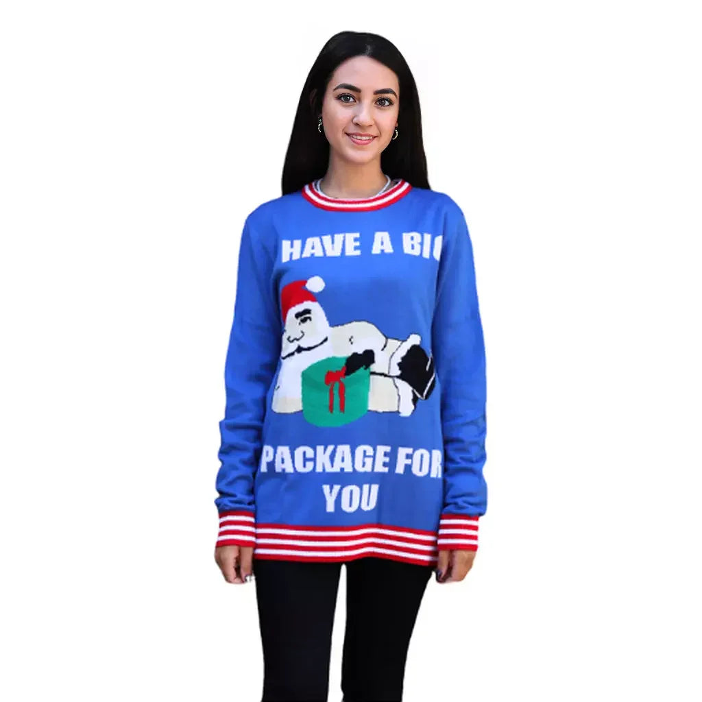 Woman wearing blue holiday sweater with cartoon, Christmas gift, and text 'Have a big package for you'