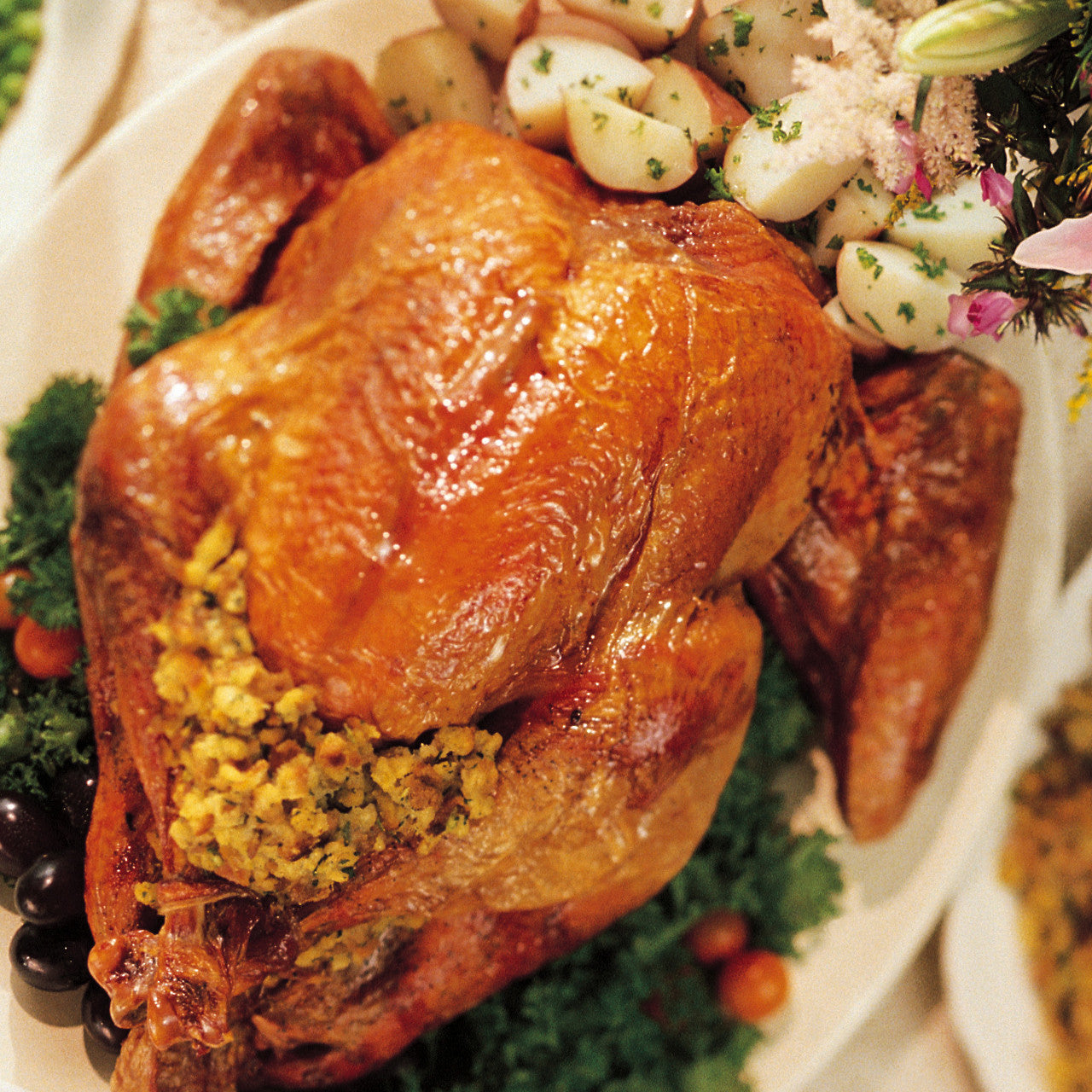 Hi Mountain Game Bird & Poultry Brine Mix - Image 2