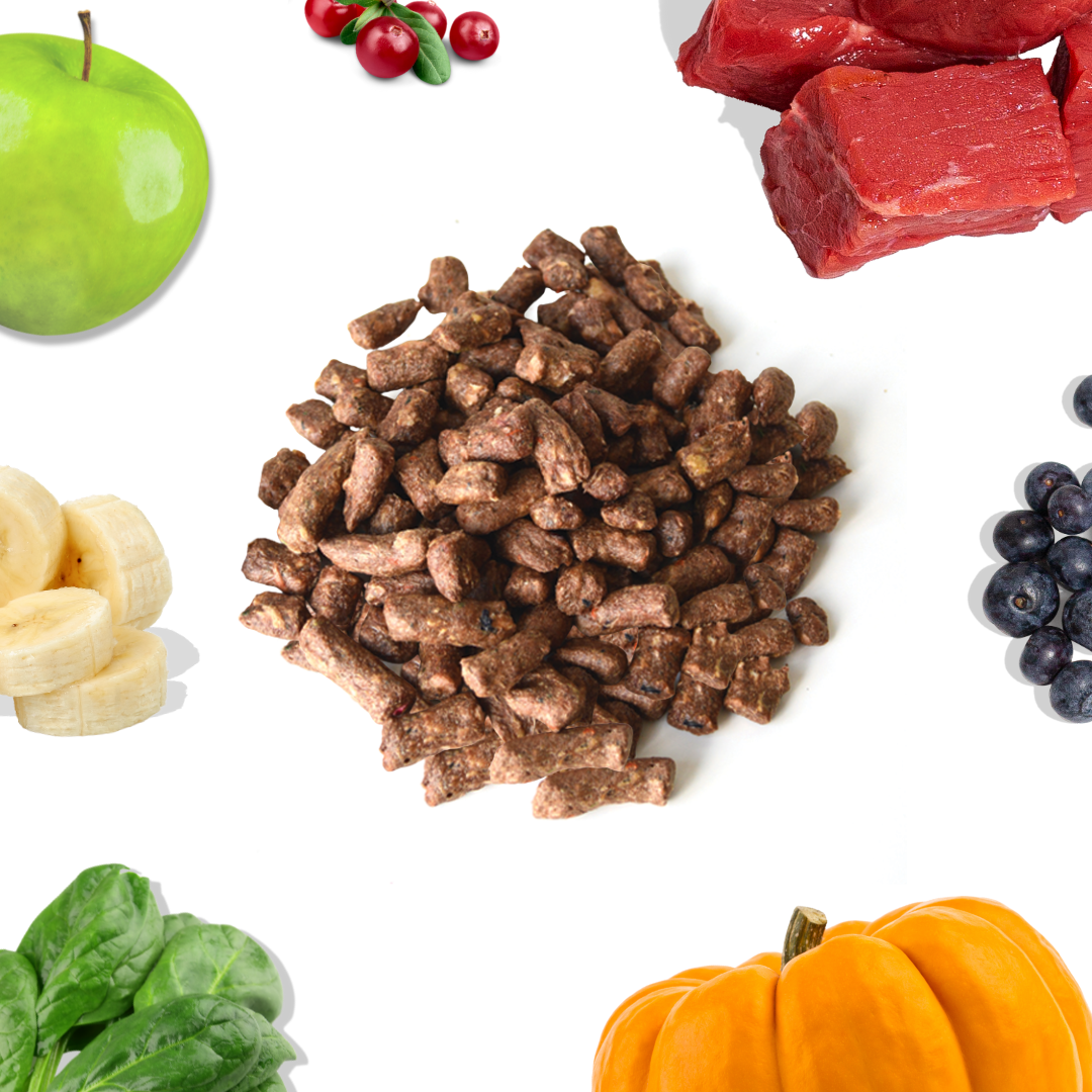 Healthybud Beef Meal Bites