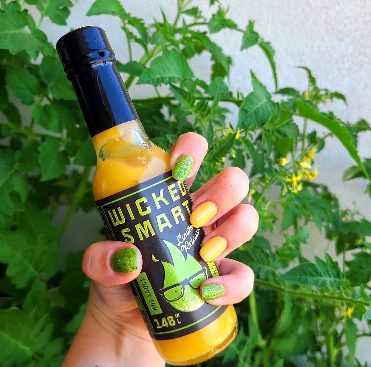 Wicked Smart Hot Sauce KAISO